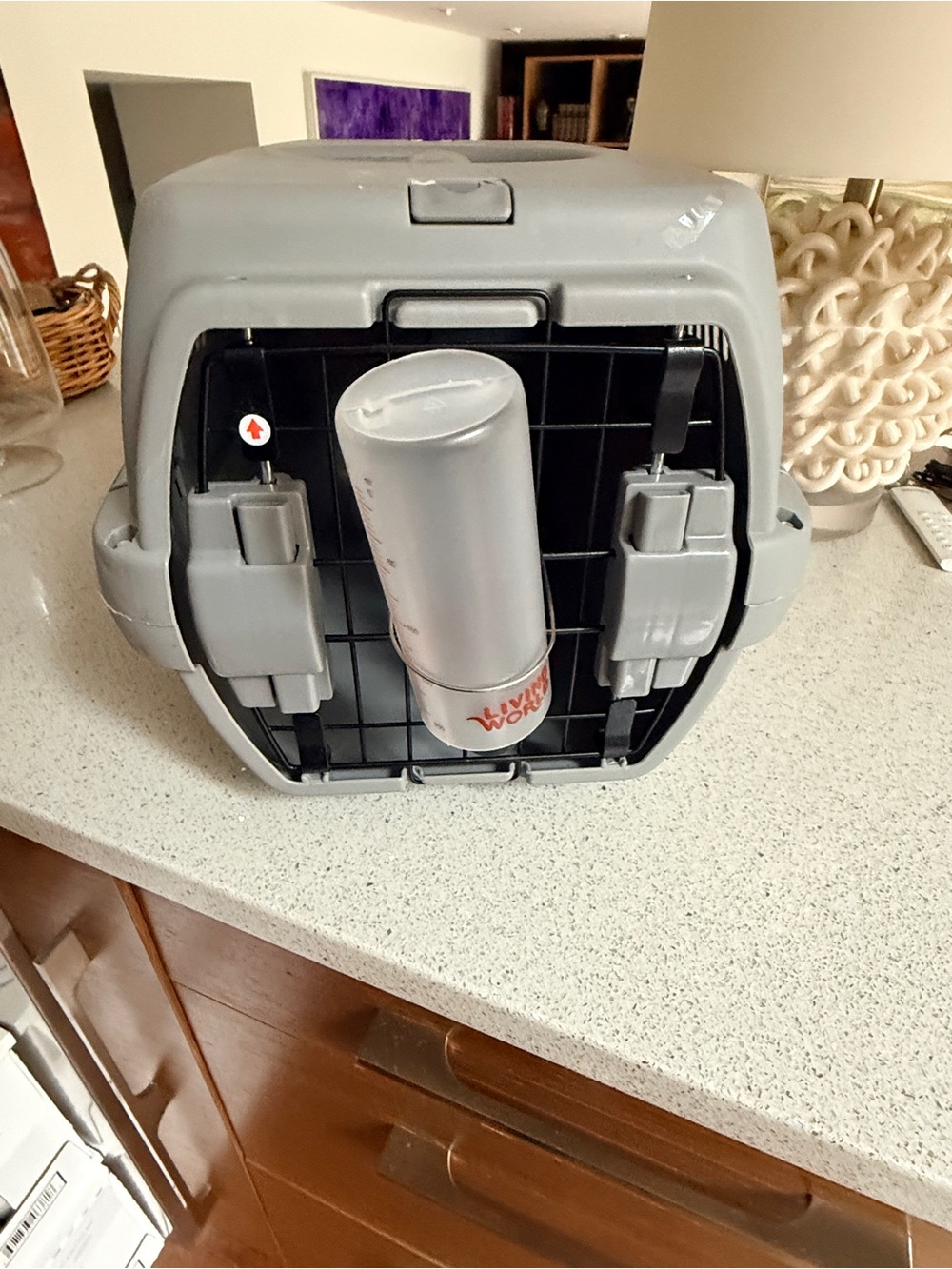 Gray Plastic Pet Carrier with Water Bottle